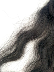Example of coarse human hair for human hair tresses 